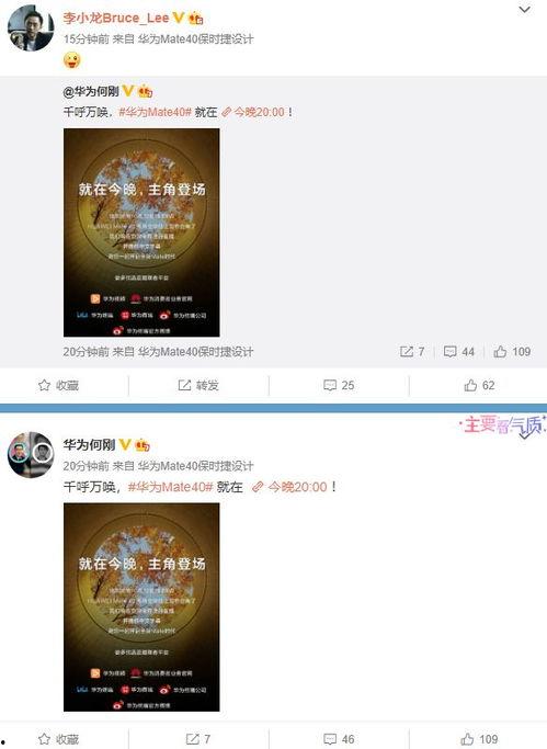 横栏最新爆料视频播放,精彩瞬间一网打尽